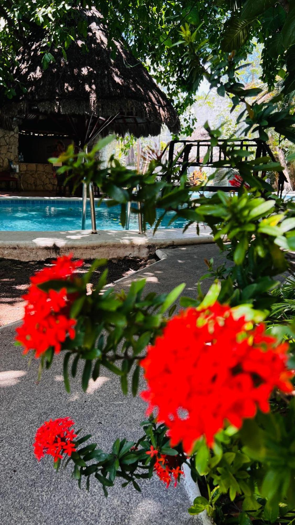 Mayan Art Hotel 10 Avenue Playa del Carmen Exteriér fotografie